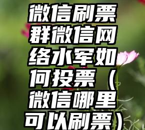 简单的来说下微信投票人工怎么刷票（微信纯人工投票）