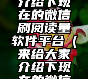 简单的来说下微信投票人工怎么刷票（微信纯人工投票）