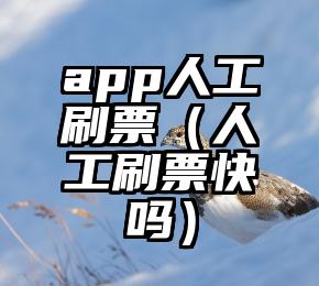 简单的来说下微信投票人工怎么刷票（微信纯人工投票）