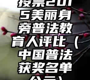 简单的来说下微信投票人工怎么刷票（微信纯人工投票）