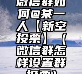 简单的来说下微信投票人工怎么刷票（微信纯人工投票）