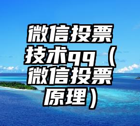 简单的来说下微信投票人工怎么刷票（微信纯人工投票）