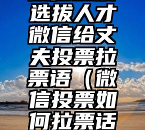简单的来说下微信投票人工怎么刷票（微信纯人工投票）