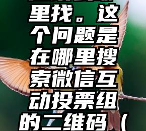 简单的来说下微信投票人工怎么刷票（微信纯人工投票）