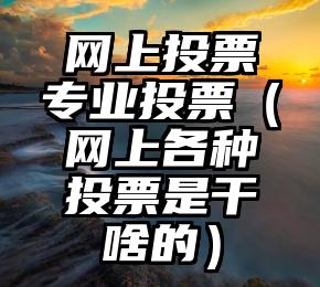 简单的来说下微信投票人工怎么刷票（微信纯人工投票）