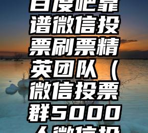 简单的来说下微信投票人工怎么刷票（微信纯人工投票）