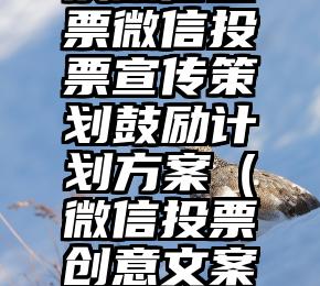 简单的来说下微信投票人工怎么刷票（微信纯人工投票）