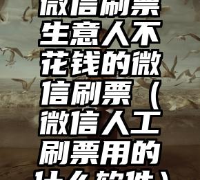 简单的来说下微信投票人工怎么刷票（微信纯人工投票）