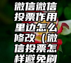 简单的来说下微信投票人工怎么刷票（微信纯人工投票）