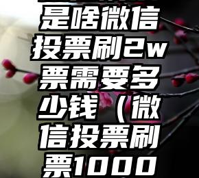 简单的来说下微信投票人工怎么刷票（微信纯人工投票）