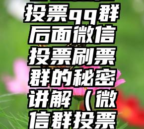 简单的来说下微信投票人工怎么刷票（微信纯人工投票）