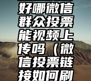 简单的来说下微信投票人工怎么刷票（微信纯人工投票）