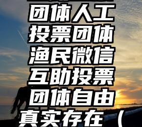 简单的来说下微信投票人工怎么刷票（微信纯人工投票）