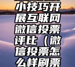 简单的来说下微信投票人工怎么刷票（微信纯人工投票）