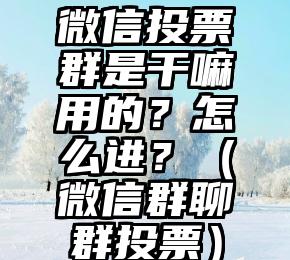 简单的来说下微信投票人工怎么刷票（微信纯人工投票）