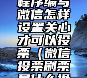 简单的来说下微信投票人工怎么刷票（微信纯人工投票）