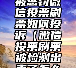 简单的来说下微信投票人工怎么刷票（微信纯人工投票）