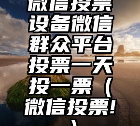 简单的来说下微信投票人工怎么刷票（微信纯人工投票）