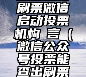 简单的来说下微信投票人工怎么刷票（微信纯人工投票）