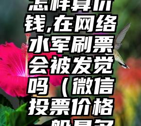简单的来说下微信投票人工怎么刷票（微信纯人工投票）