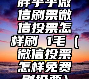 简单的来说下微信投票人工怎么刷票（微信纯人工投票）