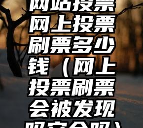 简单的来说下微信投票人工怎么刷票（微信纯人工投票）