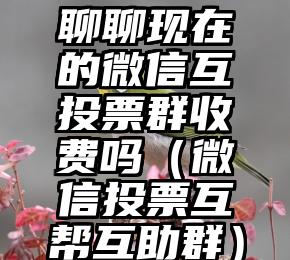 简单的来说下微信投票人工怎么刷票（微信纯人工投票）