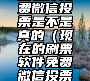 简单的来说下微信投票人工怎么刷票（微信纯人工投票）