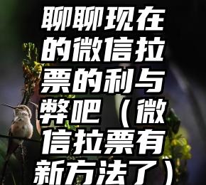 简单的来说下微信投票人工怎么刷票（微信纯人工投票）