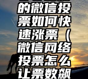 简单的来说下微信投票人工怎么刷票（微信纯人工投票）