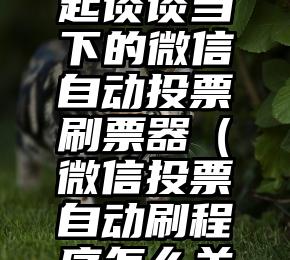 简单的来说下微信投票人工怎么刷票（微信纯人工投票）