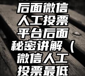 简单的来说下微信投票人工怎么刷票（微信纯人工投票）