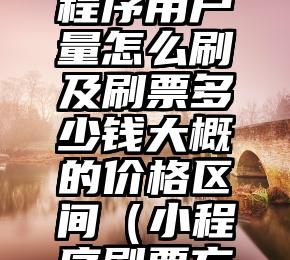 简单的来说下微信投票人工怎么刷票（微信纯人工投票）