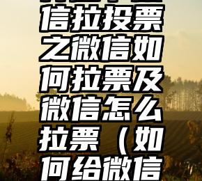 简单的来说下微信投票人工怎么刷票（微信纯人工投票）