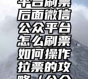 简单的来说下微信投票人工怎么刷票（微信纯人工投票）