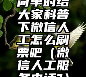 简单的来说下微信投票人工怎么刷票（微信纯人工投票）