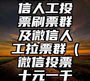 简单的来说下微信投票人工怎么刷票（微信纯人工投票）