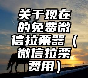 简单的来说下微信投票人工怎么刷票（微信纯人工投票）