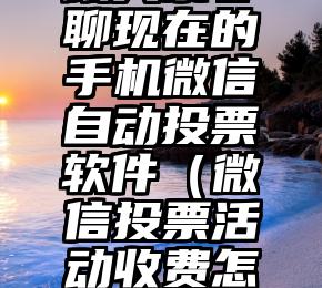 简单的来说下微信投票人工怎么刷票（微信纯人工投票）