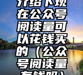 简单的来说下微信投票人工怎么刷票（微信纯人工投票）