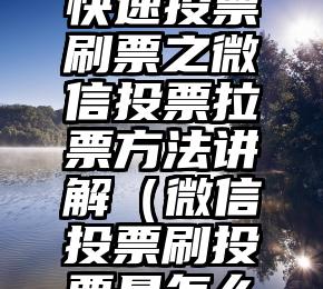 简单的来说下微信投票人工怎么刷票（微信纯人工投票）