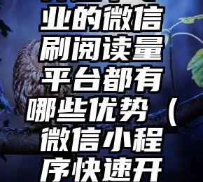 简单的来说下微信投票人工怎么刷票（微信纯人工投票）