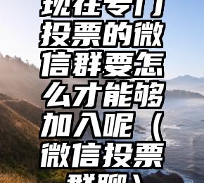 简单的来说下微信投票人工怎么刷票（微信纯人工投票）