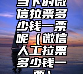 简单的来说下微信投票人工怎么刷票（微信纯人工投票）