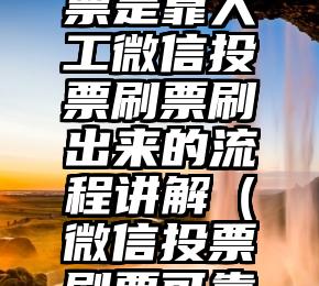 简单的来说下微信投票人工怎么刷票（微信纯人工投票）