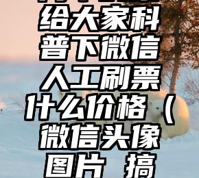 简单的来说下微信投票人工怎么刷票（微信纯人工投票）