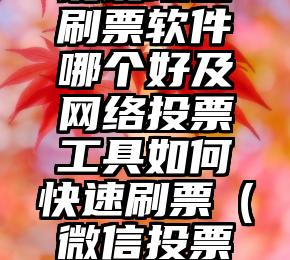 简单的来说下微信投票人工怎么刷票（微信纯人工投票）