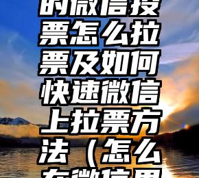 简单的来说下微信投票人工怎么刷票（微信纯人工投票）