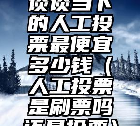 简单的来说下微信投票人工怎么刷票（微信纯人工投票）