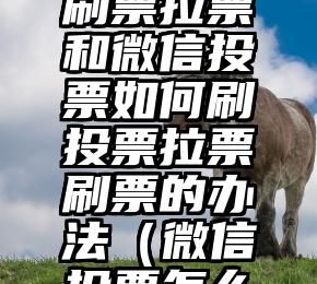 简单的来说下微信投票人工怎么刷票（微信纯人工投票）